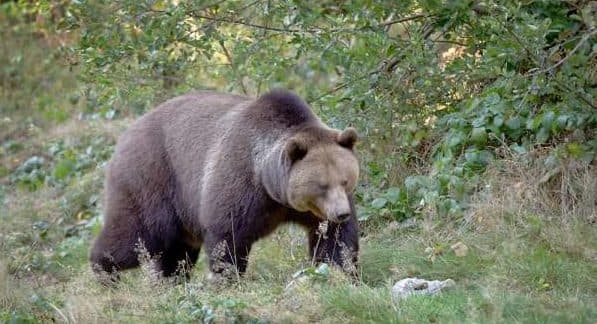 УЛСЫН ХЭМЖЭЭНД 27 БААВГАЙГ АЮУЛГҮЙ БОЛГОЖЭЭ