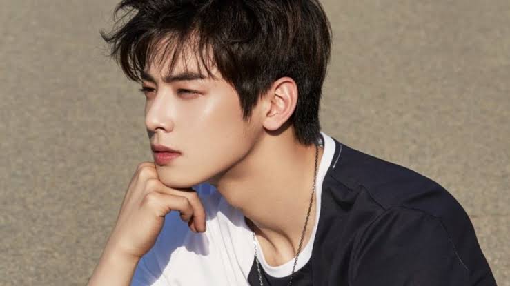 Cha Eun-woo: Төгс царайны цаана орших хөдөлмөр, сахилга бат, амжилтын түүх